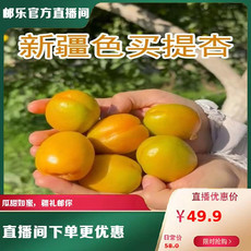 农家自产 英吉沙色买提杏子3斤 新鲜原产地发货
