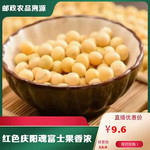 陇佳味 【镇原振兴馆】黄豆500g