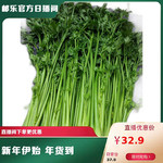 【山东邮政年货节】山东好品-章丘鲍芹3斤盒装 百脉泉