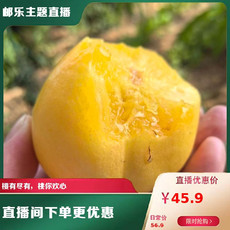 农家自产 【蒙阴振兴馆】蒙阴大棚有机黄油桃9-12个果