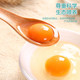  【阳江馆】新鲜土鸡蛋40枚 农家自产 正宗农家散养早餐蛋