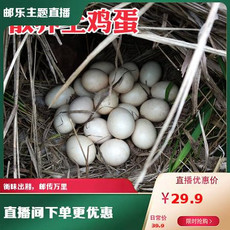 王谷岭 【湖南衡阳】常宁王谷岭散养土鸡蛋（30枚）