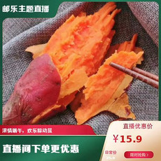  福建漳浦六鳌地瓜小果5斤装 小蜜薯软糯香甜 农家自产
