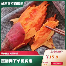 农家自产 福建漳浦六鳌地瓜小果5斤装 小蜜薯软糯香甜