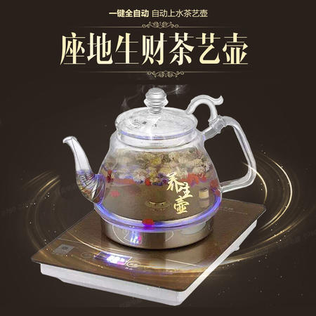 科思达泉涌式自动上水电热水壶 玻璃水晶茶炉茶具 KS902B图片