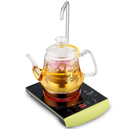 科思达 奥扬二合一电茶炉自带玻璃管上水烧水壶玻璃壶图片