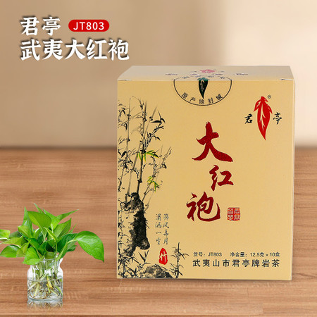 【汕头潮阳振兴馆】君亭武夷山大红袍500g茶叶礼盒装　JT803