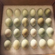 茸城绿壳鸡蛋（48枚）