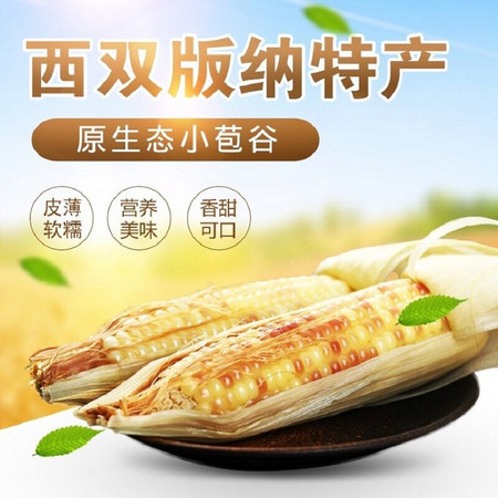 【扶贫助农】云汇丰 版纳小苞谷500g