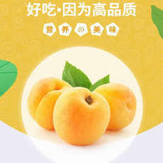  【上海邮政】 越亚 黄桃（10斤装：单果4.5两及以上)