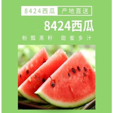 【上海邮政】 邮政农品 南汇8424 一枚装（6.5-8斤）13号活动