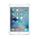 苹果/APPLE  Apple iPad Mini4  32G 白色  WIFI版