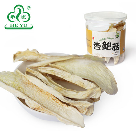 禾煜 杏鲍菇40g （罐装 特产食用菌香菇菌菇）