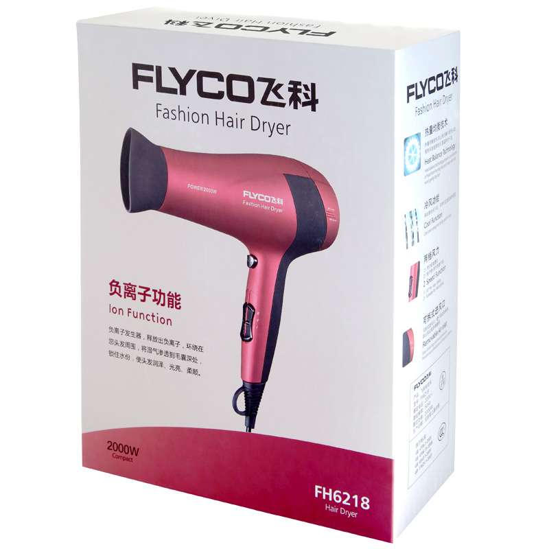 飞科（FLYCO）FH6218专业电吹风1800W大功率 家用静音负离子吹风筒