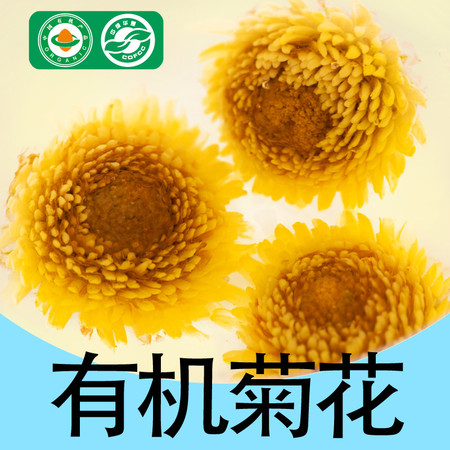 【有机菊花】朵云清嘉菊 头采胎菊王菊花茶 无农药花草茶包邮图片