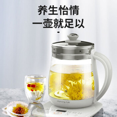 九阳养生壶办公室小型养身花茶壶家用电煮茶器