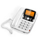 TCL HCD868(206)TSD 来电显示电话机