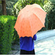 普润 日韩国创意太阳伞遮阳伞 防紫外线雨伞防晒彩虹伞 紫色