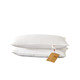  恒源祥荞麦枕头 纯棉荞麦壳填充颈椎枕芯 单只装  HYZT02（可脱卸）