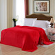 床上用品纯色法兰绒毛毯 加厚保暖床单盖毯纯色毛毯100*150cm  NTJF