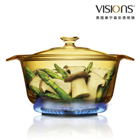 VISIONS 美国康宁晶彩透明锅（时尚系列） VS-16-FL  1.6升（时尚煮锅）图片