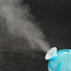 金稻冷喷蒸脸器脸部加湿器抗过敏蒸面机家用补水仪美容仪KD2331-6
