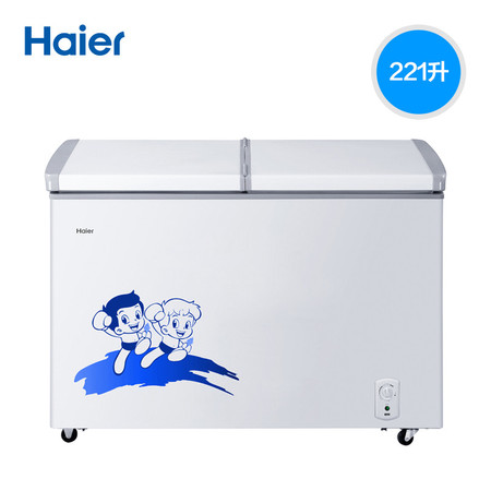 Haier/海尔 BC/BD-221SEA 节能大冰柜变温家用商用冷藏冷冻柜图片