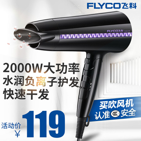 飞科/FLYCO 电吹风机FH6229负离子家用2000W大功率发廊专用