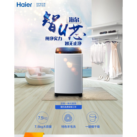 海尔/Haier EB75M2WH 7.5公斤 波轮洗衣机 全自动脱水 静音 童锁图片