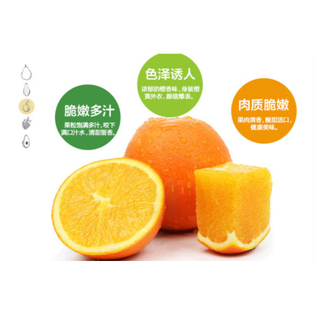 正宗赣南脐橙 新鲜水果手剥橙江西赣州特产寻乌甜橙子多汁图片