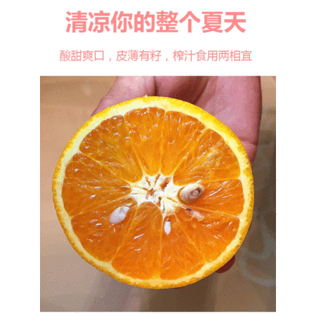 秭归夏橙新鲜薄皮橙子当季榨汁水果图片