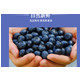 运城蓝莓 新鲜美味 自然健康