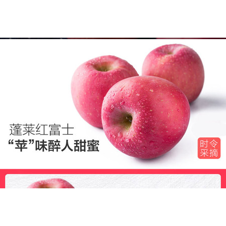 山东蓬莱精品红富士8个200g以上/个 烟台苹果 新鲜水果