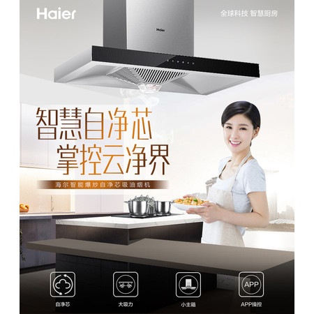 海尔/Haier CXW-219-E900T6RU1(T)欧式顶吸抽油烟机自清洗触控图片