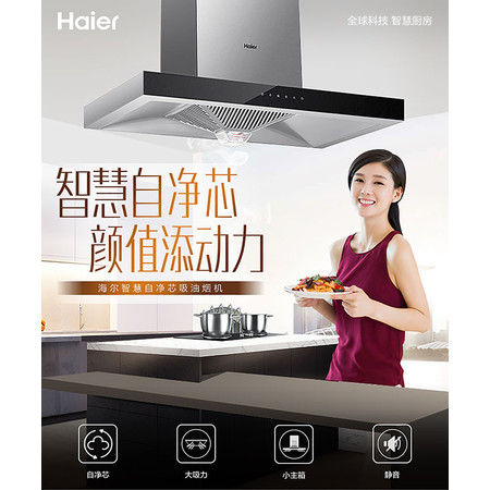 海尔/Haier E900T6R(T)+QE7B抽油烟机燃气灶具套餐烟灶套装