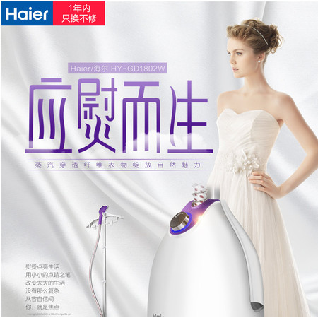 海尔/Haier HY-GD1802W 新品家用蒸汽挂烫机手持式熨斗烫衣服图片