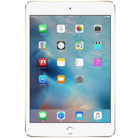 Apple 苹果 iPad mini 4 MK6L2CH/A 16G 金色 WLAN版