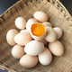  邮政农品 【北京优农】密之蓝天农家散养柴鸡蛋20枚