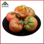 【北京优农】密之蓝天密云本地超级精彩番茄  邮政农品