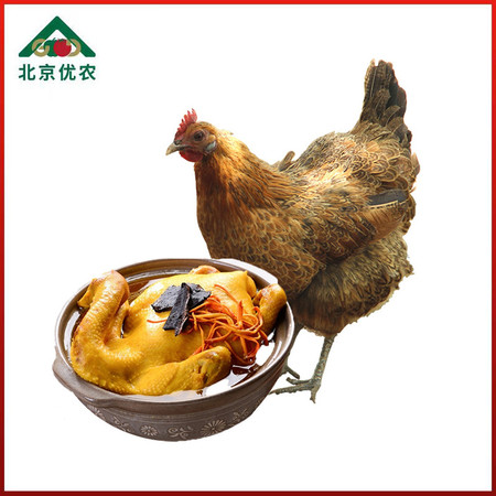 邮政农品 【北京优农】密之蓝天农家散养老母鸡1只 约2斤图片