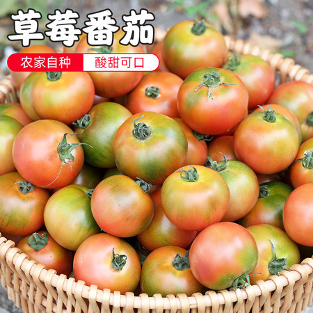密水农家 【北京优农】自然熟铁皮西红柿子 生吃 草莓番茄4斤 酸甜多汁图片