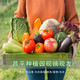  【北京馆】【京郊农品】京禾园蔬菜B2组合 混装菜 约7斤 农家自产