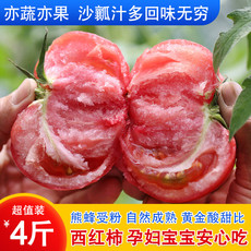 密水农家 【北京优农】密云本地新鲜沙瓤西红柿 番茄2000g