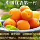  【北京优农】平谷北寨红杏 全国包邮  农家自产