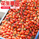 密水农家 【北京优农】自种花生小番茄3斤皮薄味甜西红柿