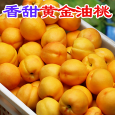 密水农家 新鲜黄油桃 应当季生鲜水果