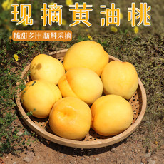 邮政农品 【北京优农】密之蓝天密云本地农家种植新鲜黄油桃