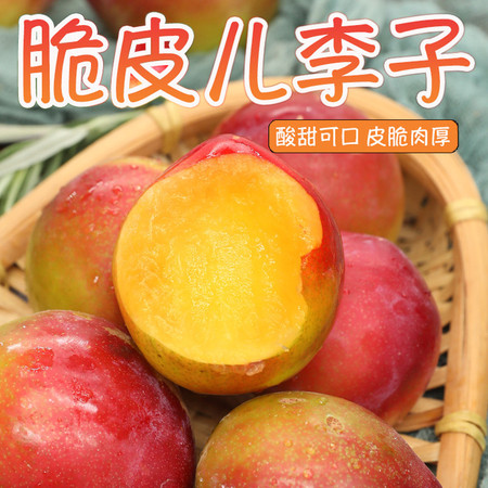 邮政农品 【北京优农】密之蓝天密云本地红李子2斤（1000g）