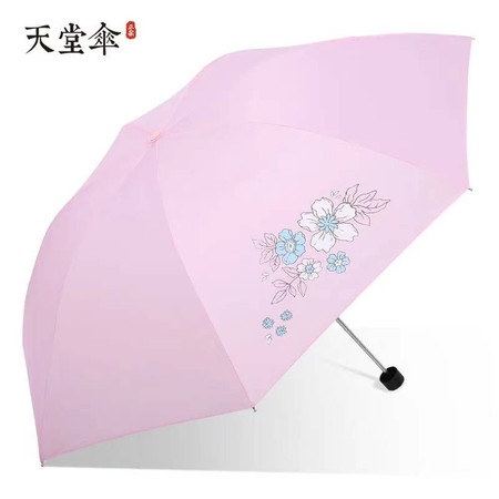 天堂 雨伞晴雨伞印花伞 339S图片