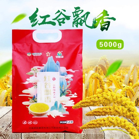 越山 朝阳小米5kg